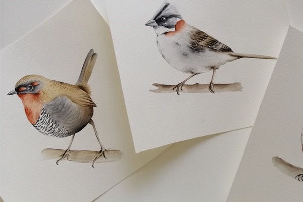 Taller de Ilustración  [24558]